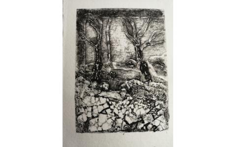 Artwork Aisling Hassett